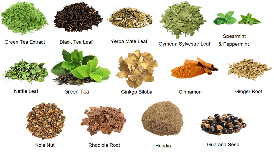 Why Tea is Good for Fasting - Green Tea, Yerba Mate and Black Tea